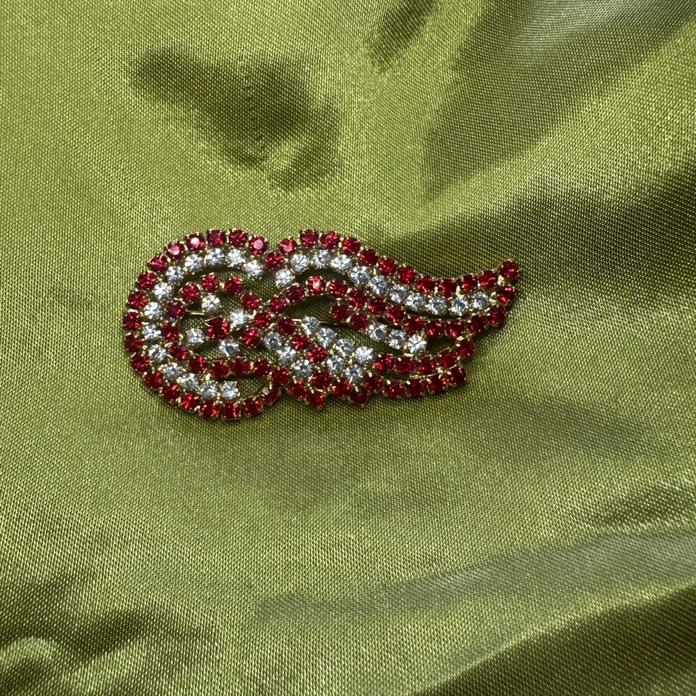 Elegant Red and Silver Wing Brooch